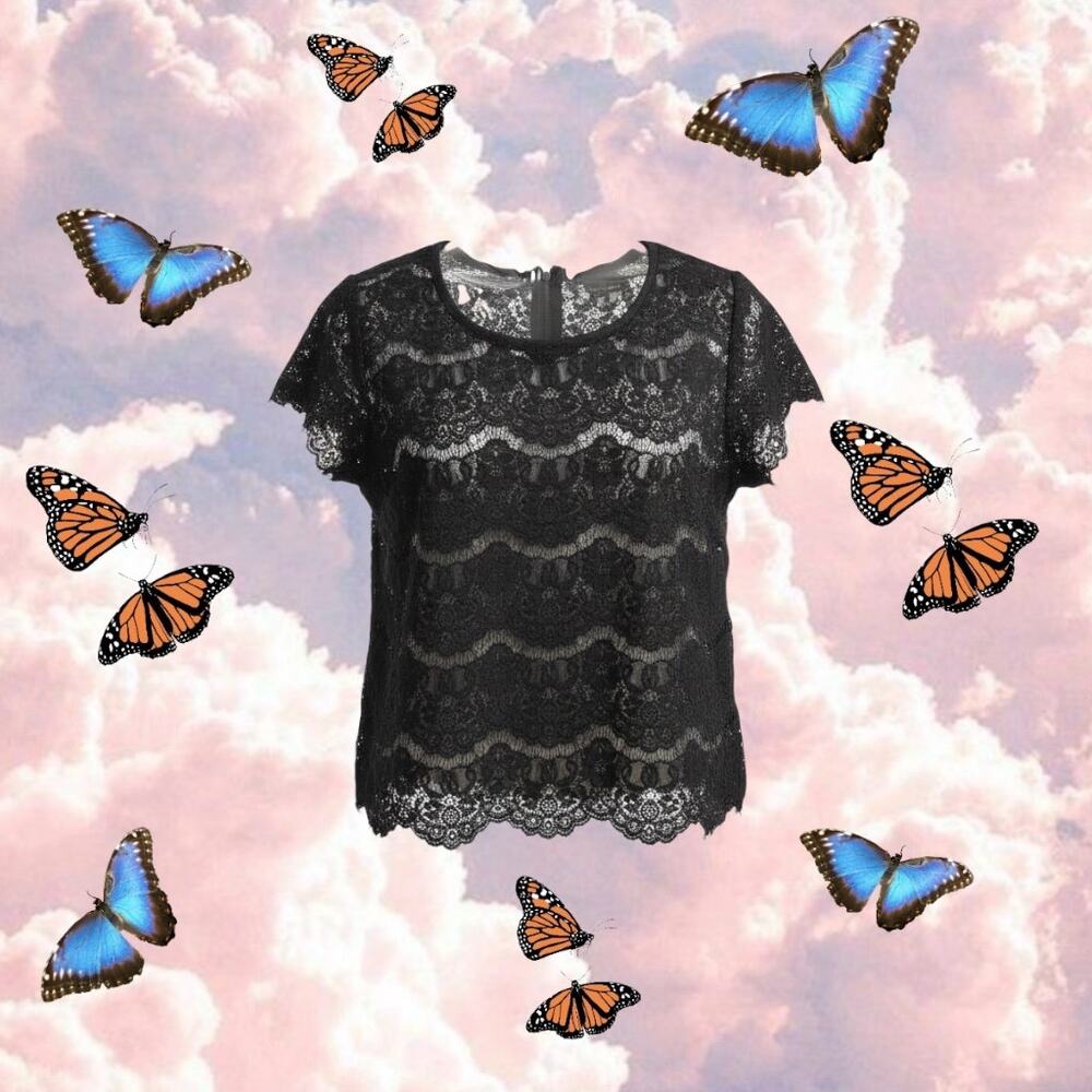 Sweet Claire Lace Blouse